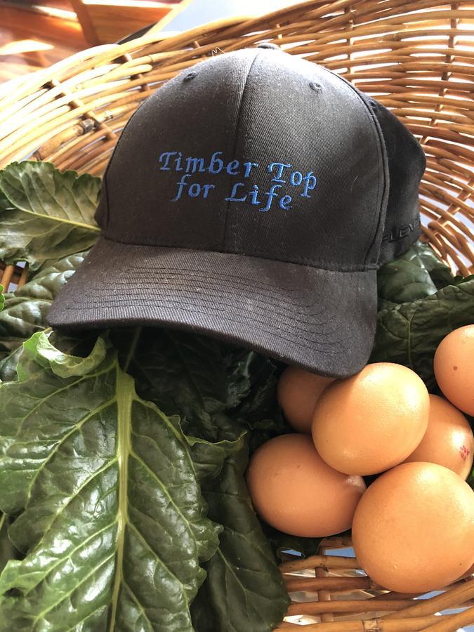 Timbertop For Life Leilighet Gold Coast Eksteriør bilde